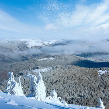 dağ manzarası ile yamaç önünde karlı ağaçların kış