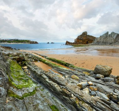 Cbeach (Pielagos, Cantabria, düşük gelgit nedeniyle çıplak kayalar detay)