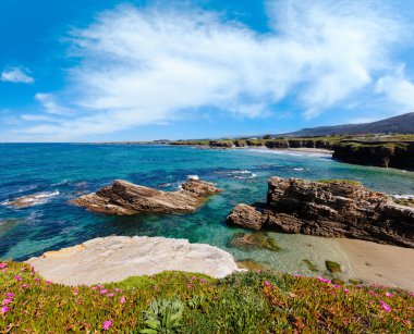 Atlantik kıyı şeridi manzara pembe çiçekler ve üç plajları Islas, Xuncos ve Castros (İspanya ile çiçek açması yaz).