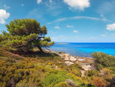 Ege Denizi sahil peyzaj, görünümü yakınındaki Karidi beach (Chalkidiki, Yunanistan).