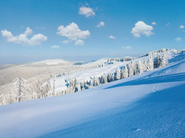 Vintern Rimfrost Och Snö Täckta Granar Bergssidan Karpaterna Ukraina — Stockfoto