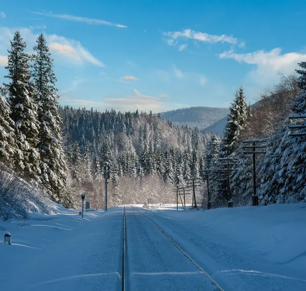 在喀尔巴阡山脉 铁路穿过白雪覆盖的冷杉林和遥远的高山头盔 雪堆在路边 — 图库照片