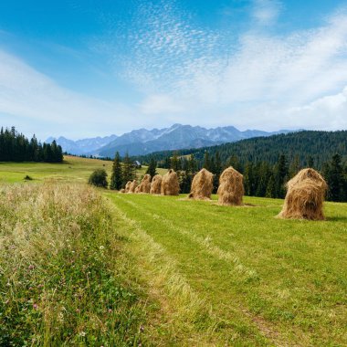 Yaz dağ köyü ilçe sınırı (Polonya arkasında haystacks ve Tatra)