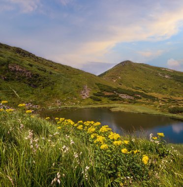 Yaz Nesamovyte gölü manzarası, Chornohora tepesi, Karpatya dağları, Ukrayna