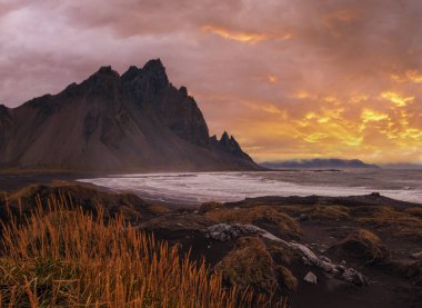 Sunrise Stoksnes Cape Sahili ve Vestrahorn Dağı, İzlanda. İnanılmaz doğa manzarası, popüler seyahat yerleri. Siyah volkanik kum tepelerinde sonbahar otları.