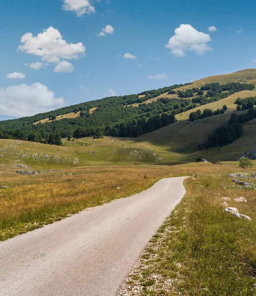 Flock Sheep Pasture Secondary Countryside Road Mountain Durmitor National Park — Stock Photo, Image