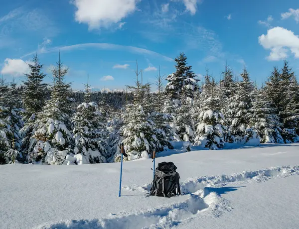 Χειμερινό Απομακρυσμένο Αλπικό Χωριό Προάστια Χιόνι Παρασύρει Στο Βουνό Έλατο — Φωτογραφία Αρχείου