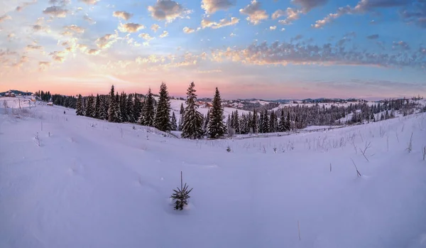 Pequena Tranquila Aldeia Alpina Inverno Nascer Sol Montanhas Nevadas Redor — Fotografia de Stock