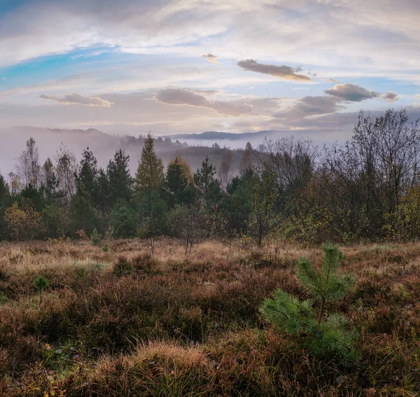曇りと霧の早朝の秋の牧草地のシーン 静かな絵の旅 自然と田舎の美しさのコンセプトシーン カルパティア山脈 ウクライナ — ストック写真