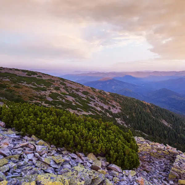 Yaz Karpat Dağları akşam manzarası. Stony Gorgany Massif, Ukrayna.