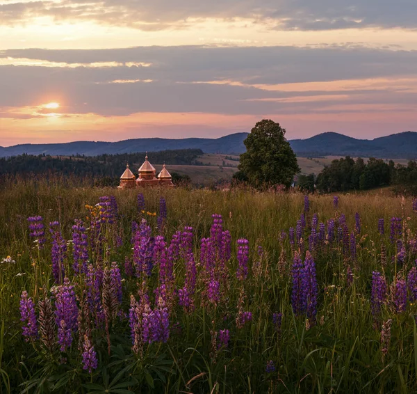 Picturesque Twilight June Carpathian Mountain Countryside Meadows Domes Church Far — Stock Photo, Image