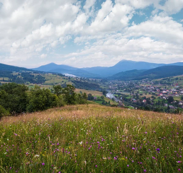 美丽的夏季喀尔巴阡山乡村草甸 植物繁茂 野花美丽 Hoverla和Petros的顶部在很远 — 图库照片