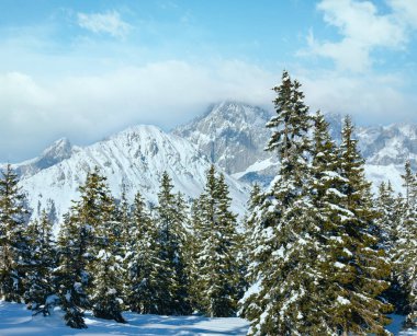 Kış dağ köknar snowy orman manzarası (üst papageno Bahn - filzmoos, Avusturya)