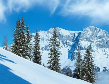 sabah kış dağ panorama (hochkoenig bölge, Avusturya önünde köknar ağaçlarıyla)