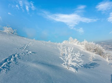 Dağ manzarası güzel süs ağaçları ve snowdrifts aracılığıyla patika yolda dağ yamacı (Karpat Dağları, Ukrayna ile sabah kış sakin)