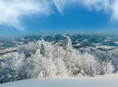 Kış sakin dağ manzarası güzel süs ağaçları ve snowdrifts yamaç (Karpat Dağları, Ukrayna)
