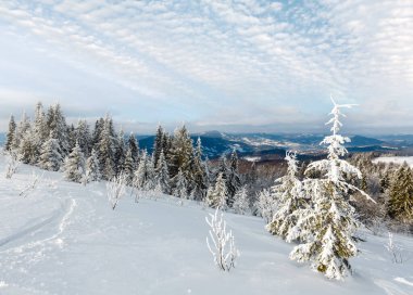 Kış sakin dağ manzarası güzel süs ağaçları ve snowdrifts aracılığıyla Kayak yolda dağ yamacı (Karpat Dağları, Ukrayna)