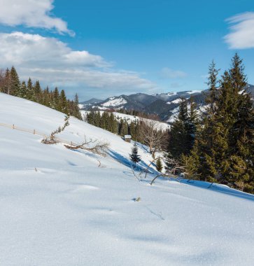 Kış sabah dağ tepe tepe çiftlik kar ile kaplı ve bazı windbreak ağaçlar (Ukrayna, Karpat Dağları, huzur huzurlu Dzembronya Köyü kırsal ilçe sınırı solmuş)