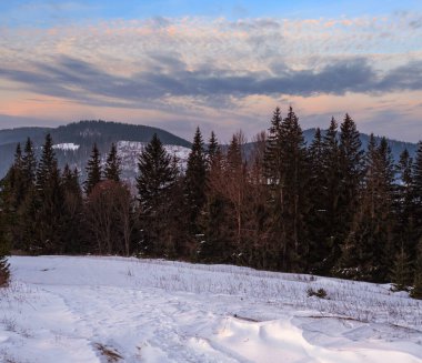 Voronenko, Carpathian, Ukrayna çevresindeki küçük Alp köyü ve kışın ilk gün doğumunda karlı dağlar..