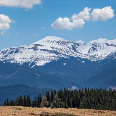 Bahar Karpat Dağları manzarası, Ukrayna.