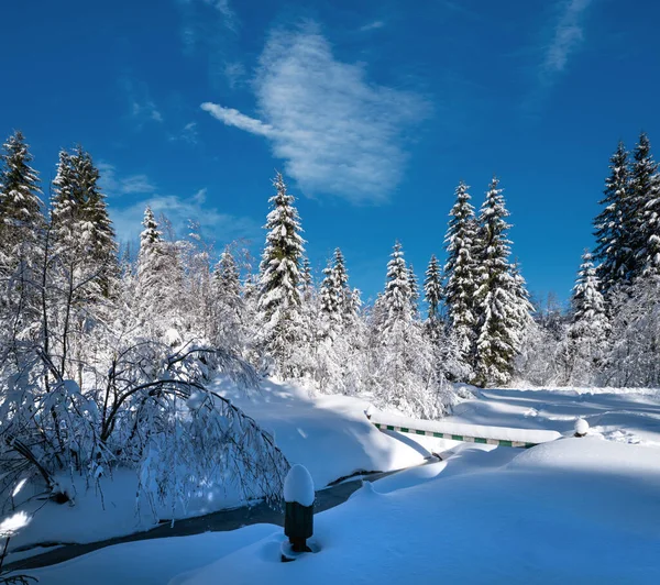 Floresta Abeto Inverno Nevada Montanha Alpina Com Snowdrifts Pequeno Córrego — Fotografia de Stock