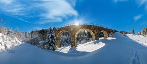 Stenen Viaduct Boogbrug Spoorweg Door Bergachtig Dennenbos Sneeuw Drijft Langs — Stockfoto