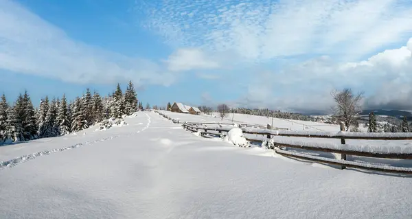 Деревенские Холмы Рощи Сельхозугодия Зимой — стоковое фото