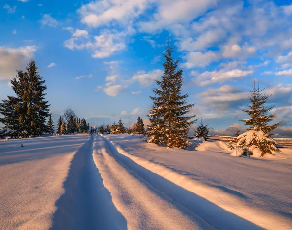 冬天的雪山 乡间土路上的小径和树上的落日余晖 小而安静的高山村郊 — 图库照片