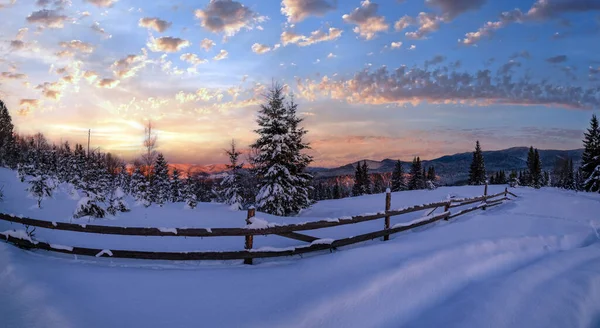 冬天的雪山 乡间土路上的小径和树上的落日余晖 小而安静的高山村郊 — 图库照片