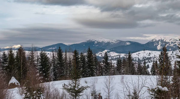 乌克兰喀尔巴阡山脉Voronenko高山小村和冬季白雪覆盖的高山 — 图库照片