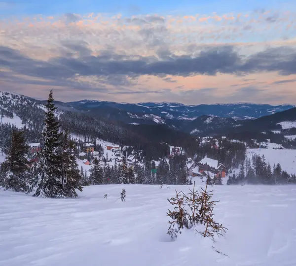 美丽的冬季风和多云的早晨阿尔卑斯山 从Svydovets山脊看著名的乌克兰Dragobrat滑雪胜地 — 图库照片