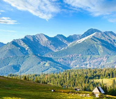 Yaz dağ köyü ilçe sınırı ile ahır ve (arkasında, Polonya tatra aralığı yakın koyun sürüsü)