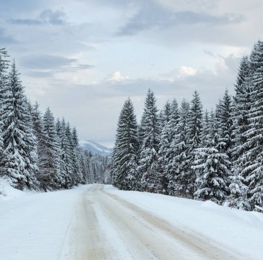 kış ülke road (bulutlu gün tarafında çam ormanı ile).