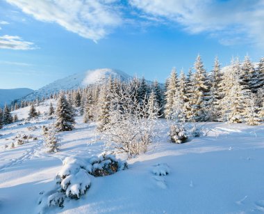 Kış karla kaplı göknar ağaçları gündoğumu ışık ile dağ manzarası
