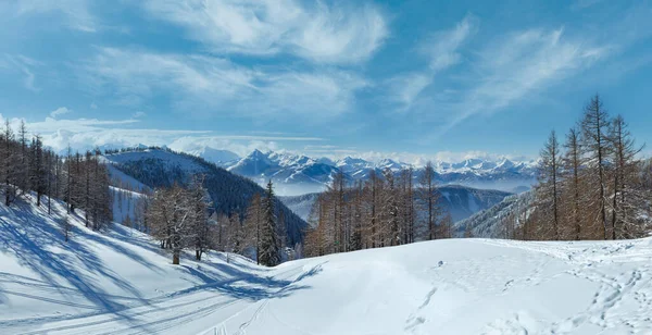 Vintern Grove Nära Berget Dachstein Massivet Och Skidbacke Österrike Panorama — Stockfoto