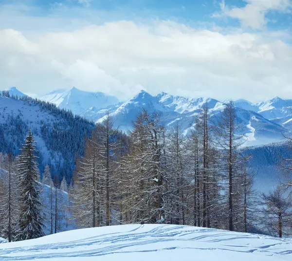 Veta Brumosa Invierno Del Macizo Montañoso Dachstein Austria —  Fotos de Stock