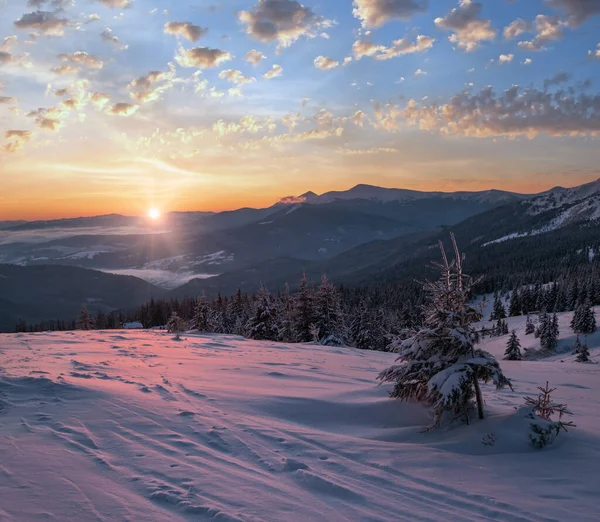 Picturesque Winter Alps Sunrise Highest Ridge Ukrainian Carpathians Chornohora Peaks — Stock Photo, Image