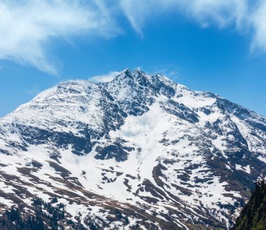 Yaz Alp dağ manzarası (warth, vorarlberg, austria).