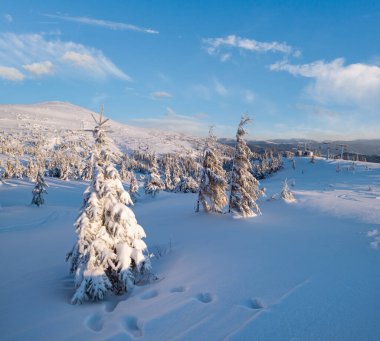 Alp kayak pisti, gündoğumu dağ kayak pisti ve köknar ağacı koruluklarının üzerinden geçen koltuklar.
