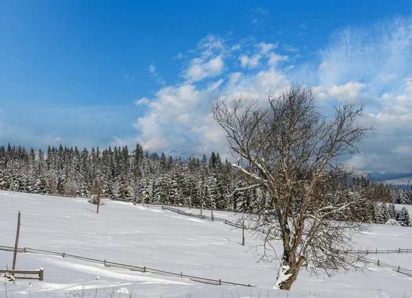 Winter Afgelegen Bergdorp Buitenwijken Platteland Heuvels Bossen Landbouwgronden — Stockfoto