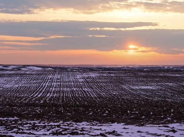 Black earth, arable land covered with the last snow, early spring. Calm evening sunset in the Ukrainian countryside, Lviv region.