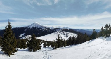 Kış Dağı manzarası Ukrayna, Karpat Dağları.