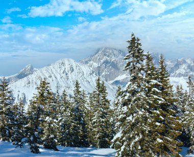 Kış dağ köknar snowy orman manzarası (üst papageno Bahn - filzmoos, Avusturya)