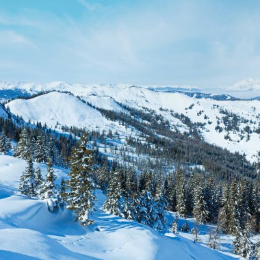 dağ manzarası ile yamaç (hochkoenig bölge, Avusturya karlı çam ağaçları kış)