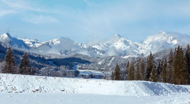 Kış dağ ülke yatay, çam ağaçları (Heiterwang sınırı, Avusturya, Tirol)