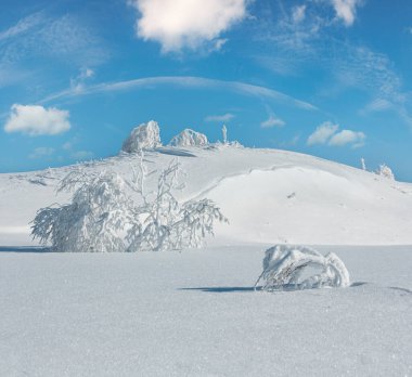 Kış sakin dağ manzarası güzel süs ağaçları ve snowdrifts yamaç (Karpat Dağları, Ukrayna). Önemli alan netlik derinliği ile kompozit görüntü. 