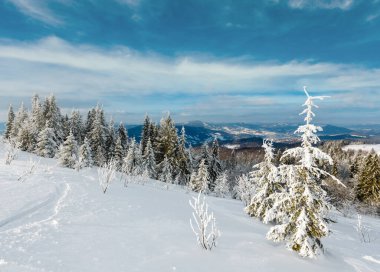 Kış sakin dağ manzarası güzel süs ağaçları ve snowdrifts aracılığıyla Kayak yolda dağ yamacı (Karpat Dağları, Ukrayna)