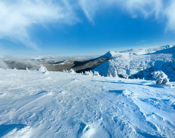 Vinter Bjerglandskab Med Sneklædte Træer Skråning - Stock-foto