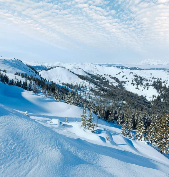冬山风景用雪杉树坡 Hochkoenig 奥地利 — 图库照片