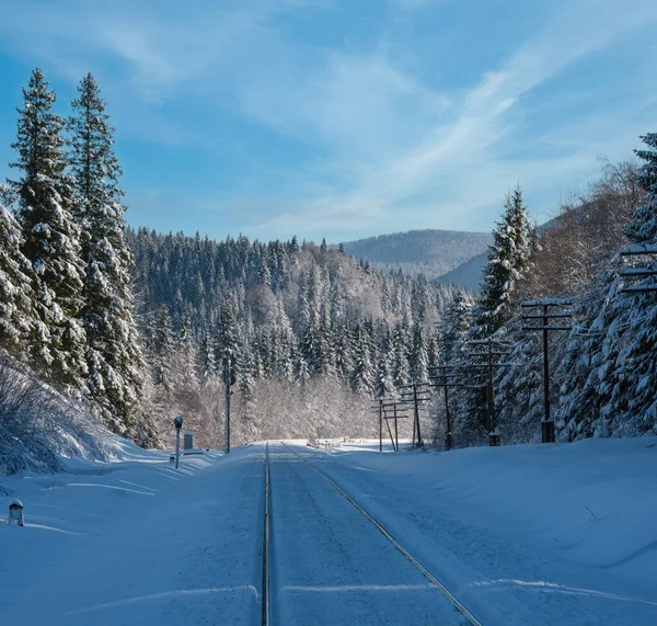 Karlı Köknar Ormanlarından Geçen Demiryolu Karpat Dağlarındaki Uzak Dağlık Alp — Stok fotoğraf